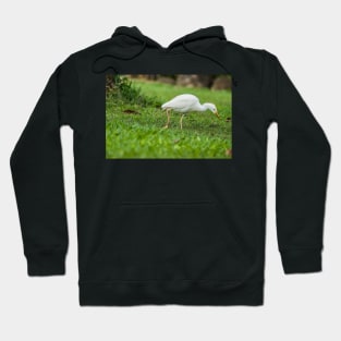 Cattle Egret 3 Hoodie